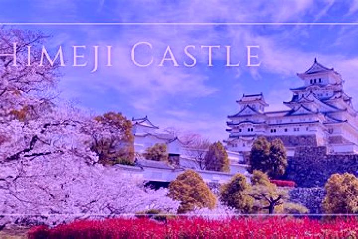 Zoey, 27 — Escort in Himeji, Japan