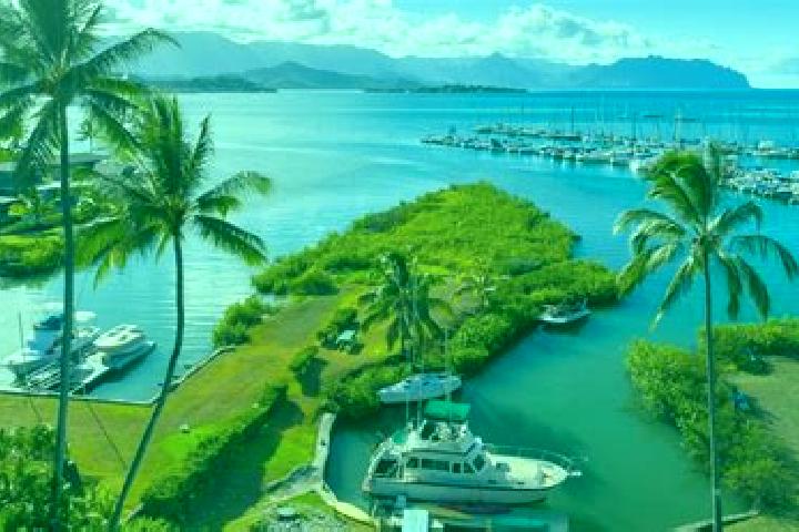 Zoey, 27 — Escort in Kaneohe, United States