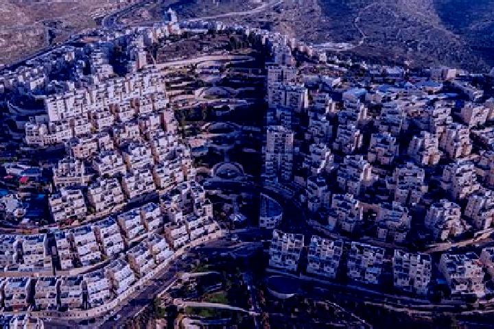 Zoey, 27 — Escort in Qalandiya, Palestine