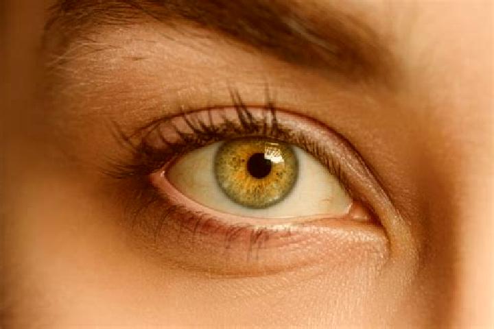 Zoey, 28, a chestnut hazel-eyed mixed companion based in Green Park. Offering OWO, CIM, A-Level. Available for incall and outcall, overnight bookings available.