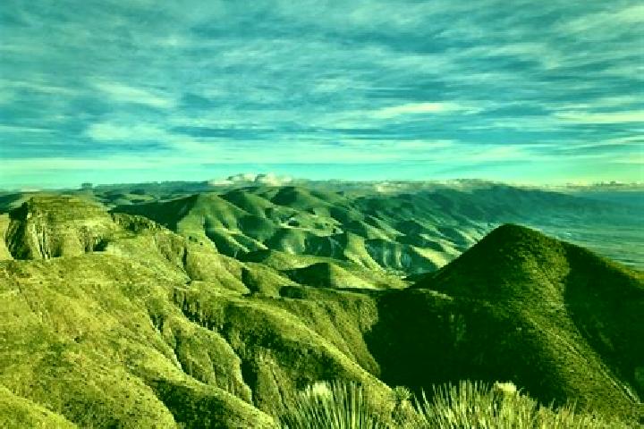 Zoey, 28 — Escort in Cerro Quemado, Mexico