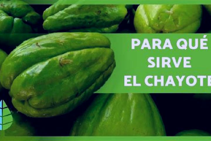 Zoey, 28 — Escort in El Chayote, Mexico