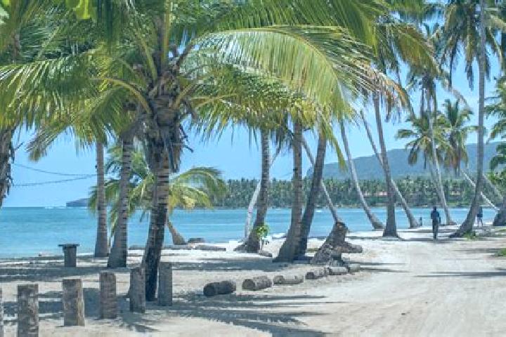 Zoey, 28 — Escort in Las Terrenas, Dominican Republic