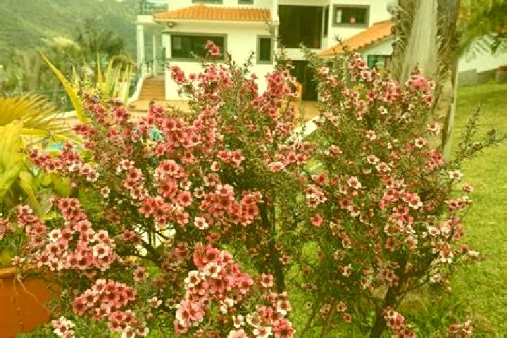Zoey, 28 — Escort in Ribeira Seca, Portugal