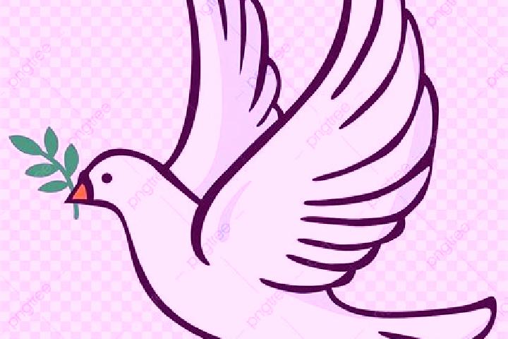 Zoey, 30, a black grey-eyed caribbean companion based in Palomas. Offering Tantra, Massage, Couples, GFE. Available for incall and outcall, day and evening d...