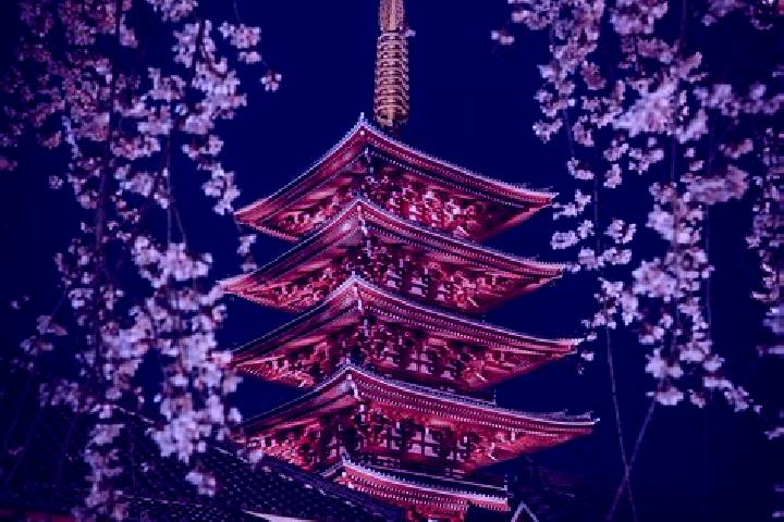 Zoey, 30 — Escort in Kosuge, Japan