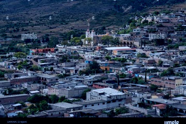 Zoey, 30 — Escort in San Miguel del Brete, Mexico