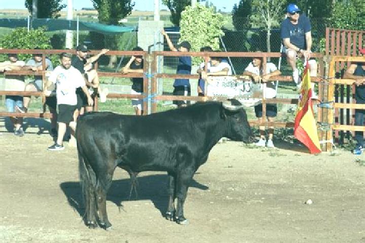 Zoey, 30 — Escort in Villamor de los Escuderos, Spain