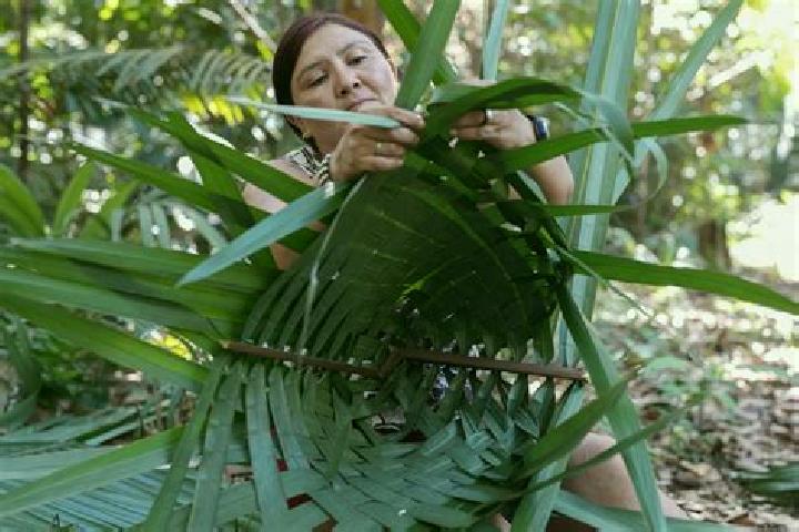 Zoey, 31 — Escort in Canutama, Brazil