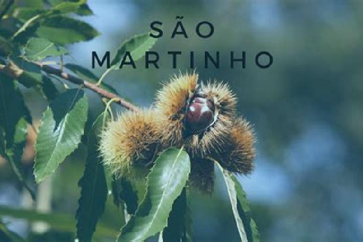Zoey, 31 — Escort in Frei Martinho, Brazil