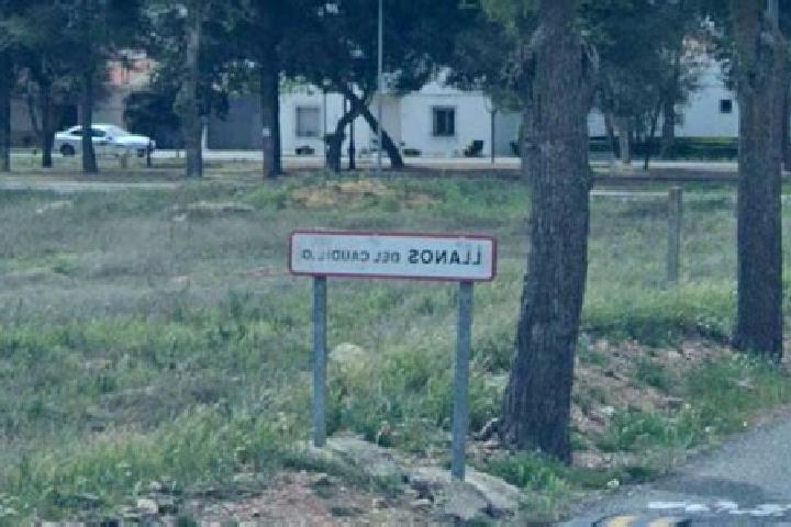 Zoey, 31 — Escort in Llanos del Caudillo, Spain