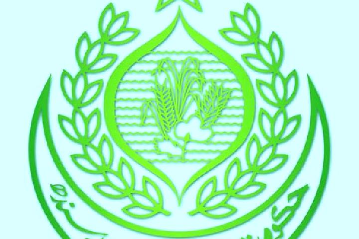 Zoey, 31 — Escort in Markaz-e Hukumat-e Darweshan, Afghanistan