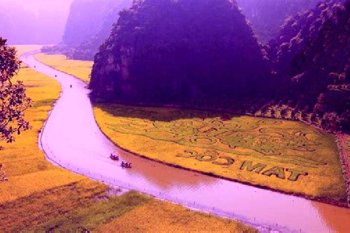 Zoey, 31 — Escort in Yen Binh, Vietnam