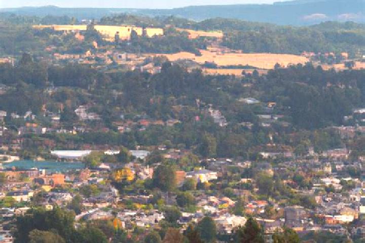 Zoey, 32 — Escort in Carbonado, United States