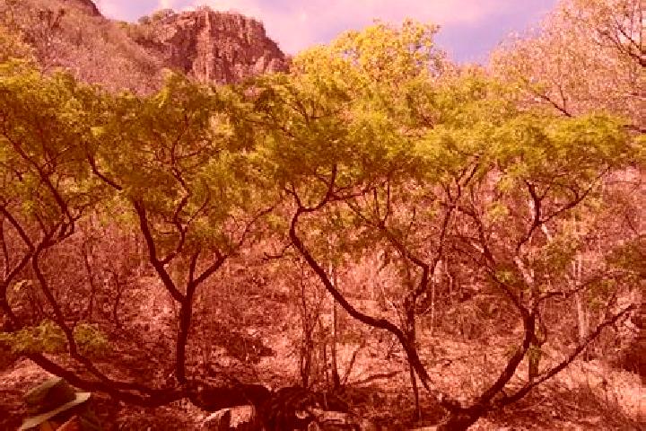 Zoey, 32 — Escort in El Tepeguaje, Mexico