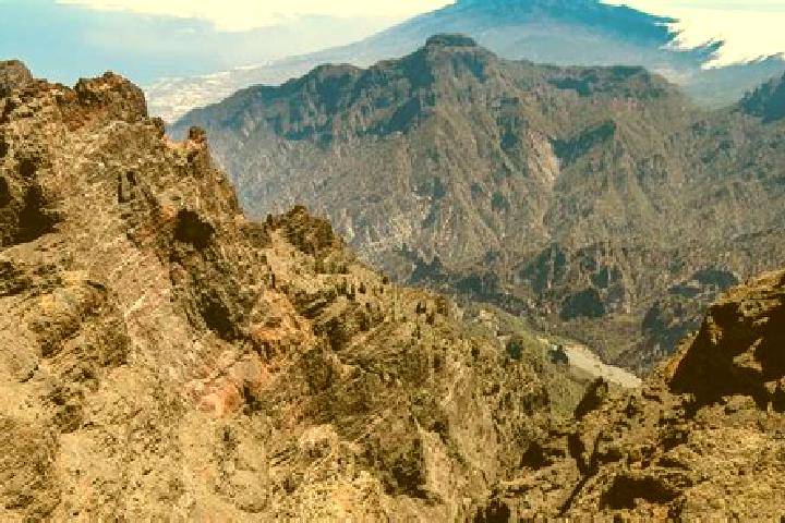 Zoey, 32 — Escort in La Palma Uno, Mexico