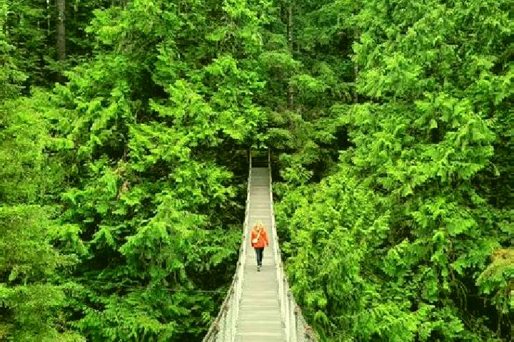 Zoey, 32 — Escort in Lynn Canyon, Canada