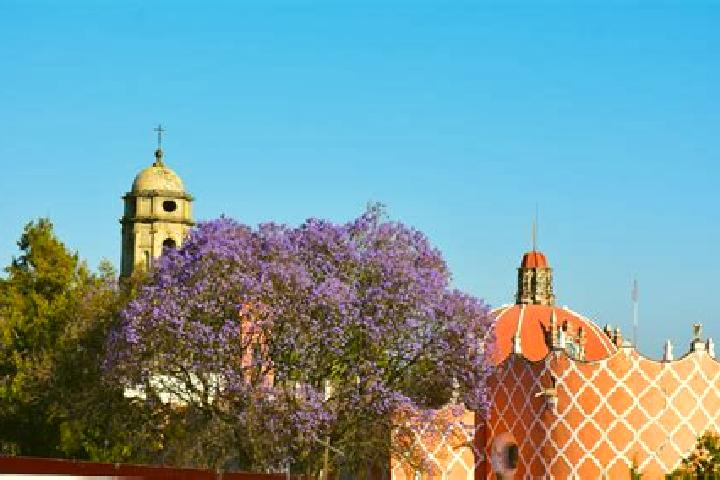 Zoey, 33 — Escort in Colonia Ampliacion (San Miguel Tlahuac), Mexico