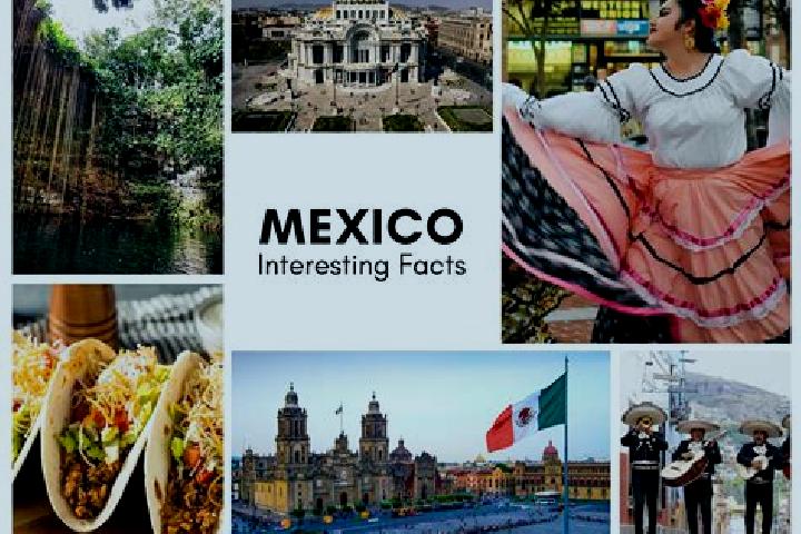 Zoey, 33 — Escort in Cuahuihuitzotitla, Mexico