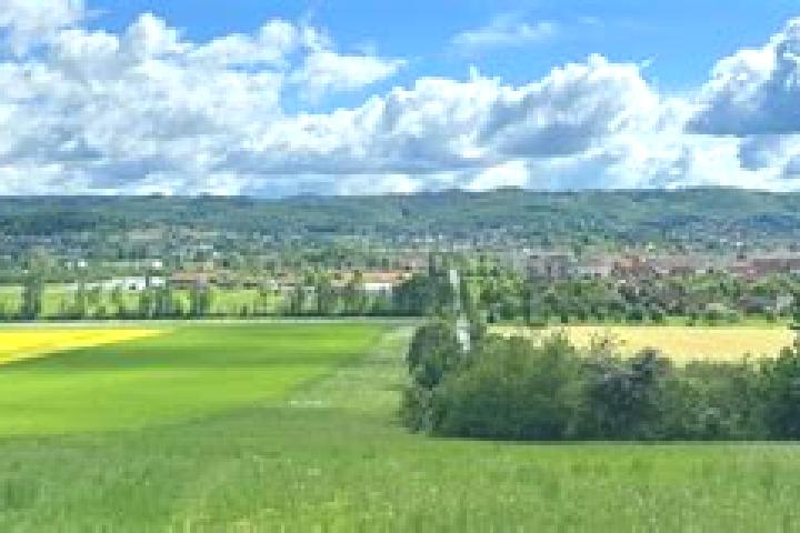 Zoey, 33 — Escort in Graefenhainichen, Germany
