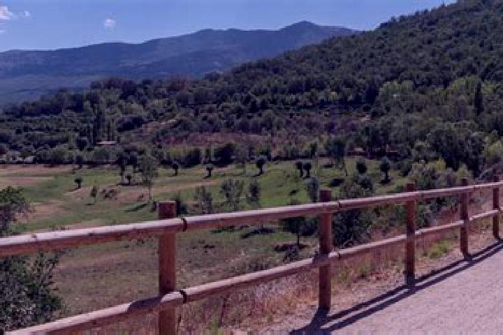 Zoey, 33 — Escort in Mungia, Spain