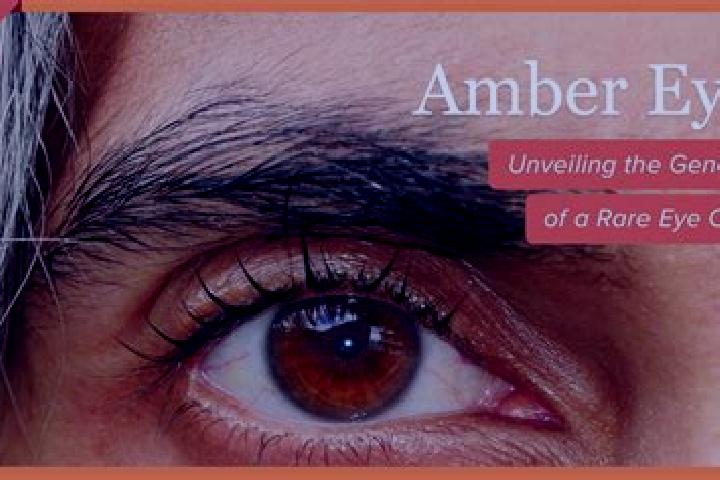 Zoey, 34, a red amber-eyed mediterranean companion based in Monashi. Offering A-Level, Prostate Massage. Available for incall and outcall, overnight bookings...