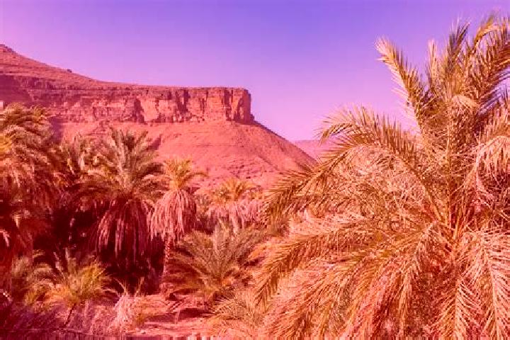 Zoey, 34 — Escort in Dar el Barka, Mauritania