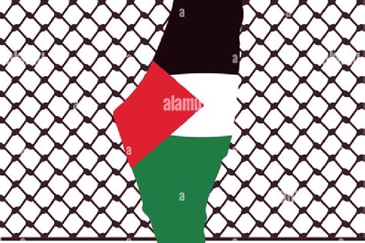 Zoey, 34 — Escort in Jammalah, Palestine