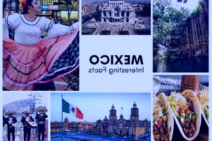 Zoey, 34 — Escort in Oxolotan, Mexico