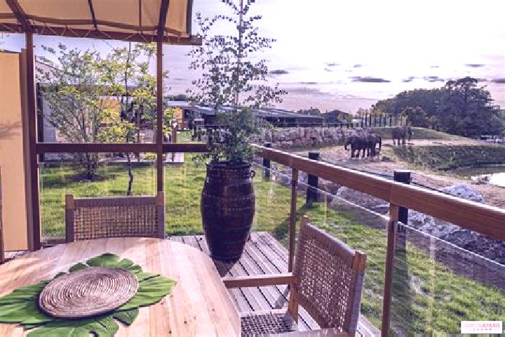 Zoey, 34 — Escort in Peaugres, France