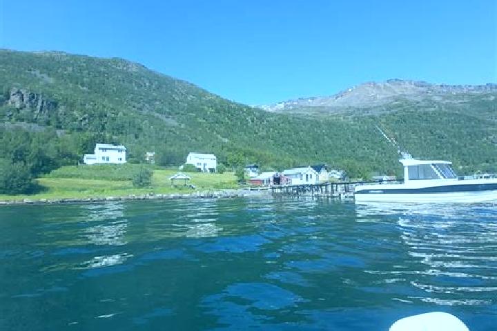 Zoey, 35 — Escort in Burfjord, Norway