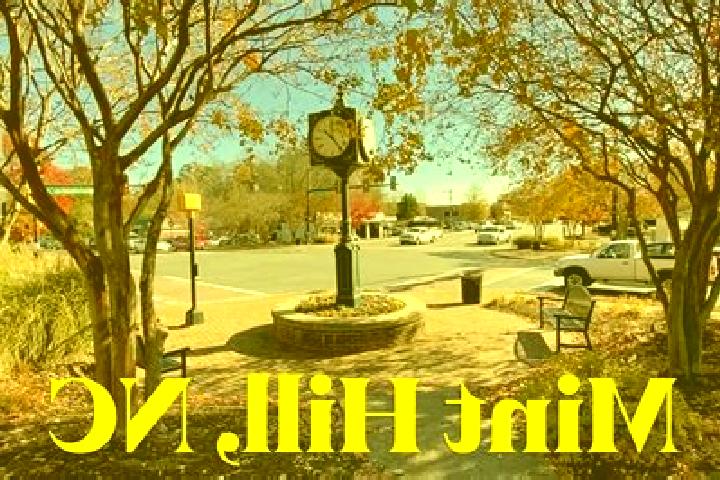 Zoey, 35 — Escort in Mint Hill, United States