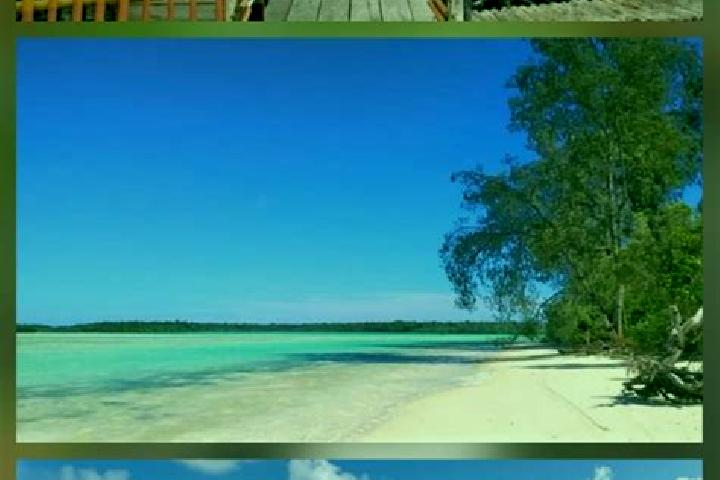 Zoey, 35 — Escort in Pulau Tiga, Indonesia