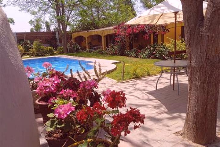 Zoey, 35 — Escort in Villa San Agustin, Argentina