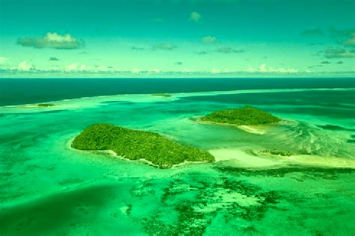 Zoey, 36 — Escort in Alele, Wallis and Futuna