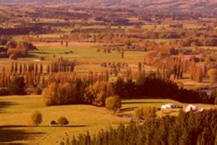 Zoey, 36 — Escort in Ashhurst, New Zealand