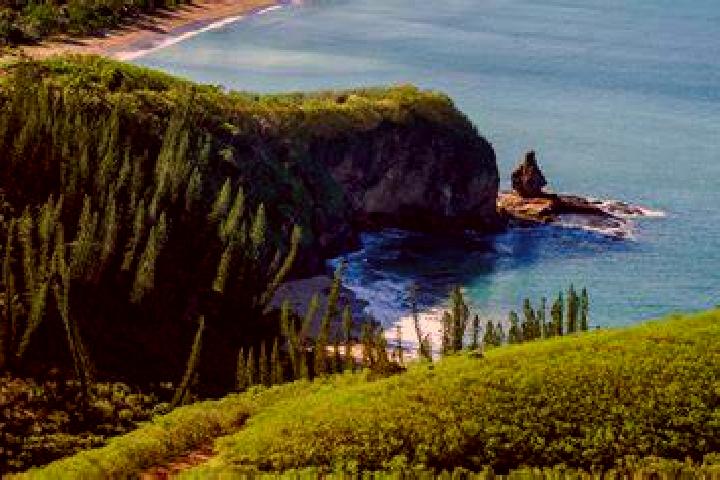 Zoey, 36 — Escort in Bourail, New Caledonia