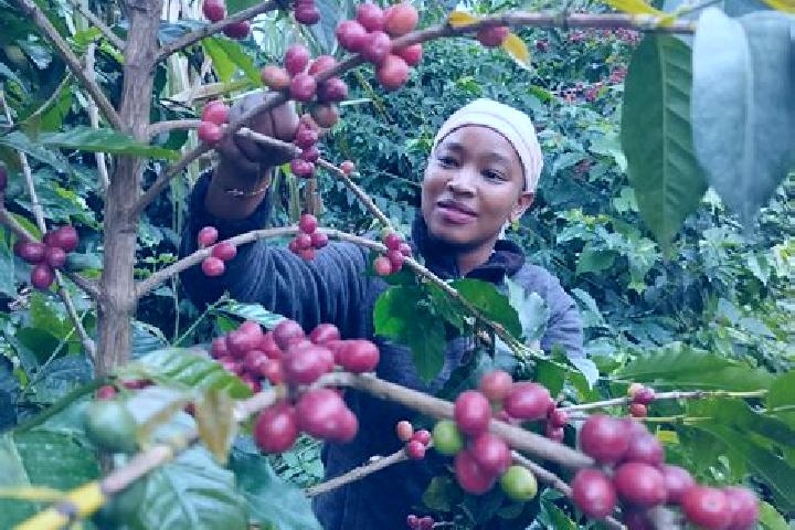Zoey, 36 — Escort in Kianyaga, Kenya