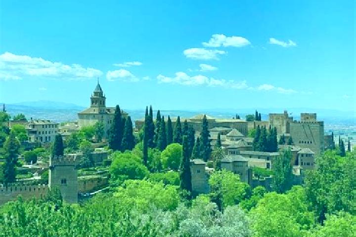 Zoey, 37 — Escort in Alhambra, Spain