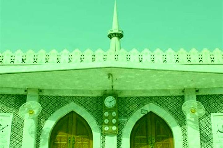 Zoey, 37 — Escort in Ash Shuhada , Palestine