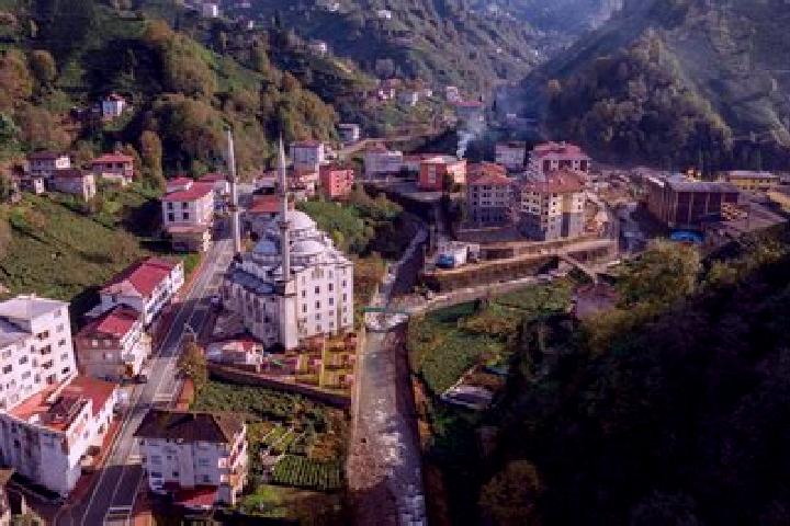 Zoey, 37 — Escort in Bueyuekkoey, Turkey