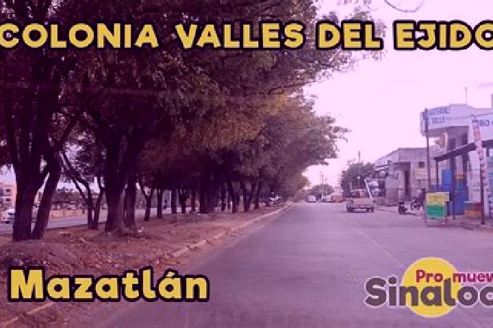 Zoey, 37 — Escort in Colonia el Mirador (Llano del Ejido), Mexico