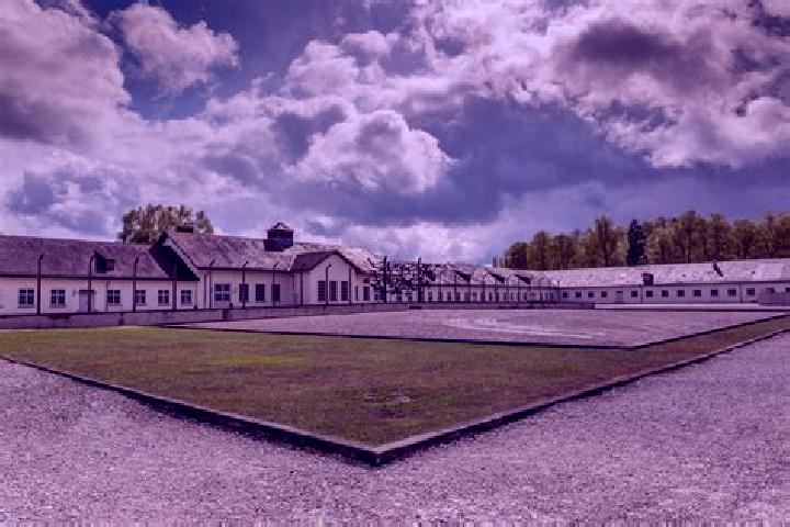Zoey, 37 — Escort in Dachau, Germany