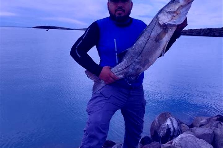 Zoey, 37 — Escort in Ladrillera Pescador, Mexico