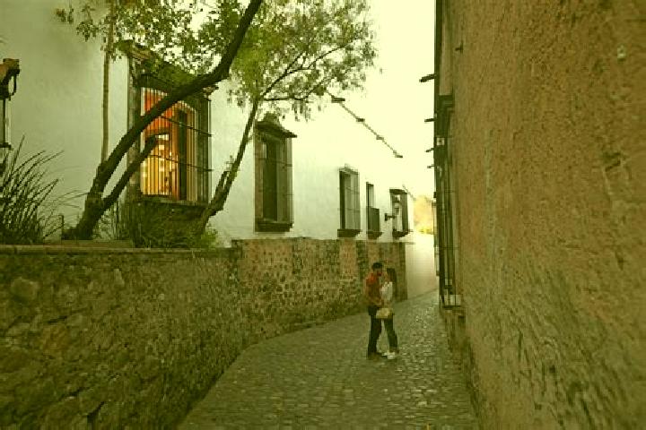 Zoey, 37 — Escort in Pueblo de Alamos, Mexico
