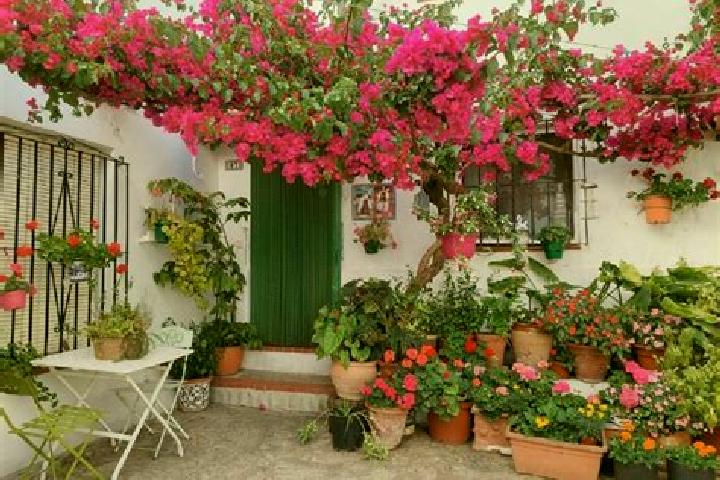 Zoey, 38 — Escort in Bugambilias (La Cruz), Mexico