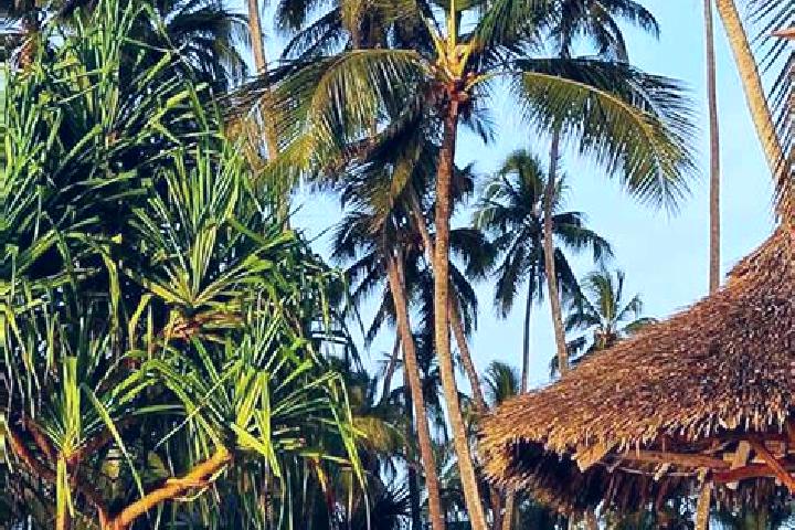 Zoey, 38 — Escort in Lulindi, Tanzania