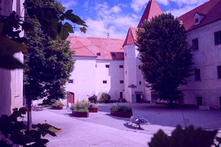 Zoey, 38 — Escort in Orth an der Donau, Austria