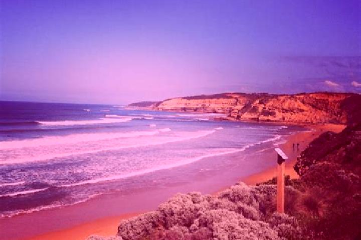 Zoey, 38 — Escort in Torquay, Australia
