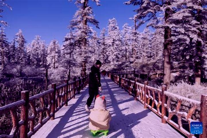 Zoey, 38 — Escort in Wawu, China